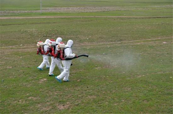 珠海民众杀虫灭鼠在田地喷洒药剂